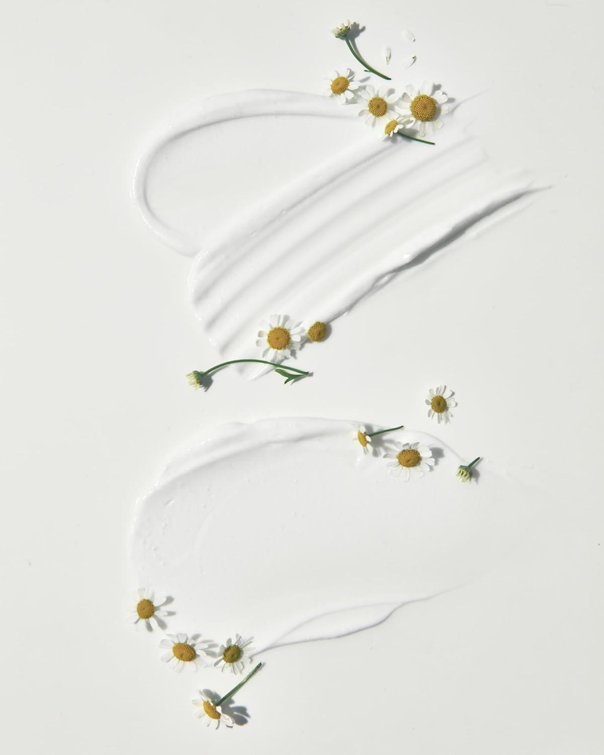 imageMALINGOETZ Chamomile Shave Cream Nourishing Shaving Cream with Wild Moroccan Chamomile Shea Butter Glycerin Squalane Smooth Close Shave for Face Body Vegan CrueltyFree 5 Fl Oz