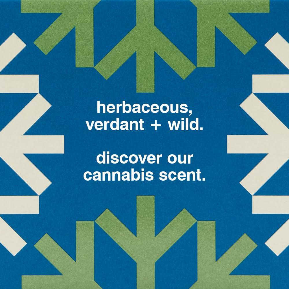 imageMALINGOETZ Cannabis Eau de Parfum Candle Set Luxury Fragrance Vegan CrueltyFree its high time cannabis