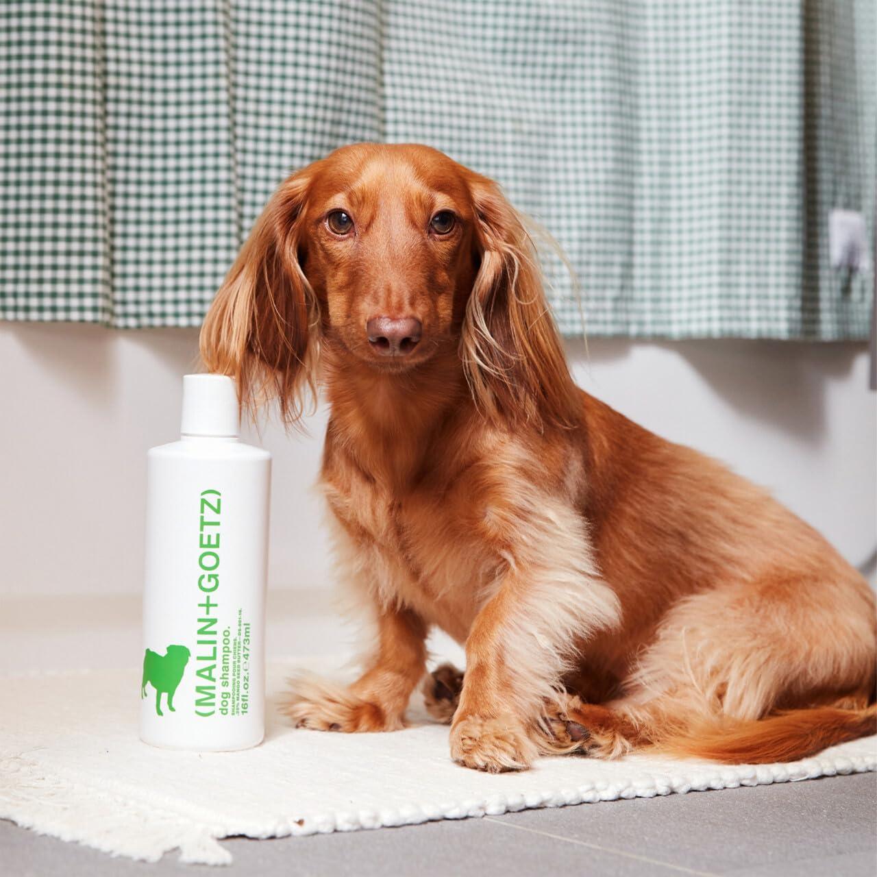 image:imageMALINGOETZ Dog Shampoo Gentle Cleansing Dog Wash for Sensitive Skin Hydrating Deodorizing Pet Shampoo for Dogs Puppy Shampoo Non Toxic Hypoallergenic Coat Softening Shine Boost 16 Fl oz
