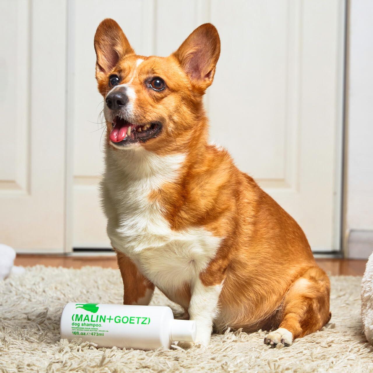 image:imageMALINGOETZ Dog Shampoo Gentle Cleansing Dog Wash for Sensitive Skin Hydrating Deodorizing Pet Shampoo for Dogs Puppy Shampoo Non Toxic Hypoallergenic Coat Softening Shine Boost 16 Fl oz