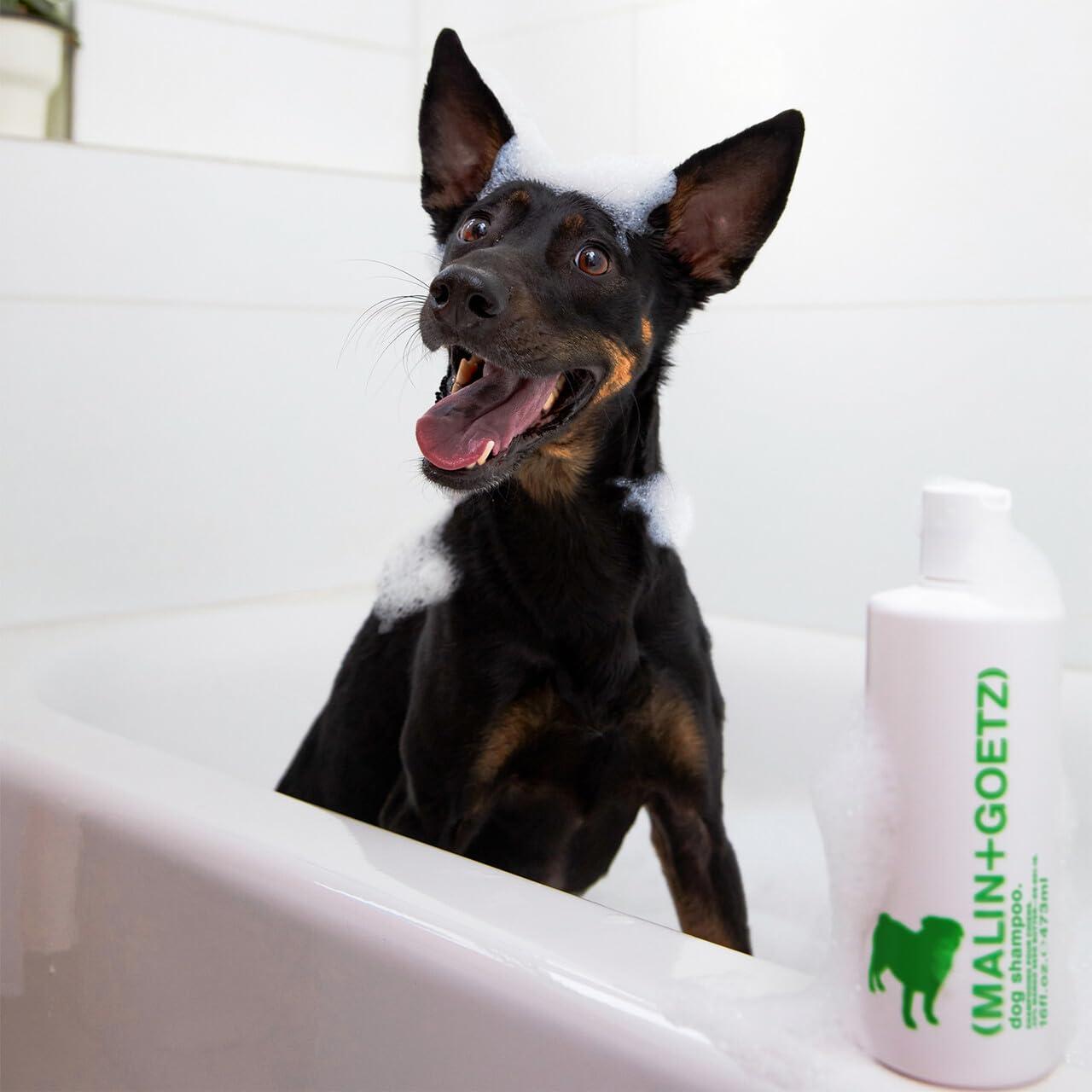 image:imageMALINGOETZ Dog Shampoo Gentle Cleansing Dog Wash for Sensitive Skin Hydrating Deodorizing Pet Shampoo for Dogs Puppy Shampoo Non Toxic Hypoallergenic Coat Softening Shine Boost 16 Fl oz